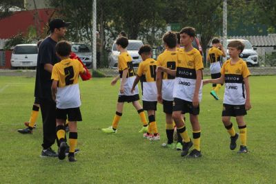 Galeria Tigrinhos