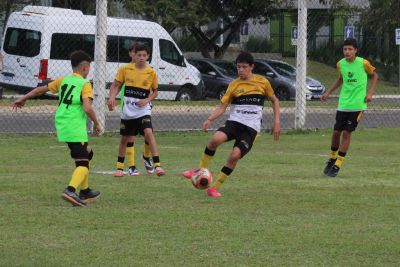 Galeria Tigrinhos