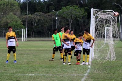 Galeria Tigrinhos