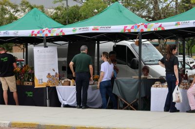 Feira da Economia Solidária - Semana de Ciência e Tecnologia