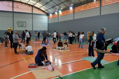 Sorrisos, choros e muita emoção marcam a última aula do Terceirão no Colégio Unesc