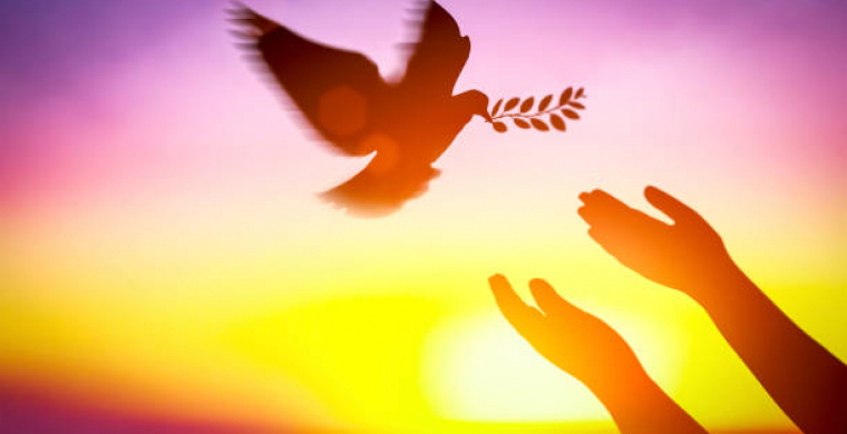 Brasil cai para 128ª posição no Índice Global da Paz e acende alerta sobre desafios internos