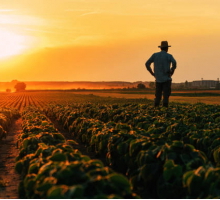 Governo divulga o Plano Safra 2023/24