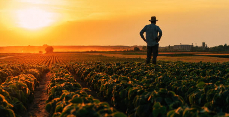 Governo divulga o Plano Safra 2023/24