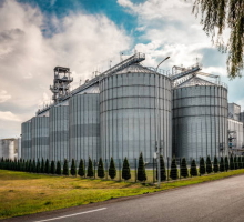 Enchentes no Rio Grande do Sul colocam em risco a safra de arroz, mas 83% da produção foi colhida antes das cheias