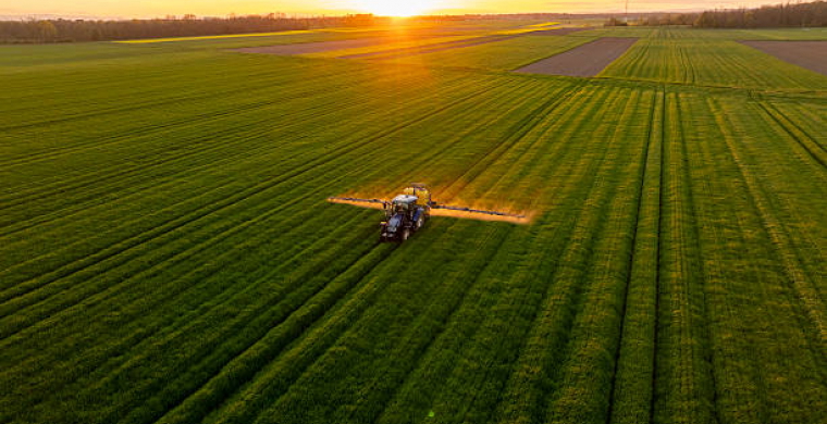 Setor alimentício impulsiona a economia nas regiões AMESC, AMREC e AMUREL em 2022