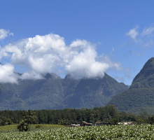 Visitas técnicas do Integratur avançam no mapeamento turístico de Orleans