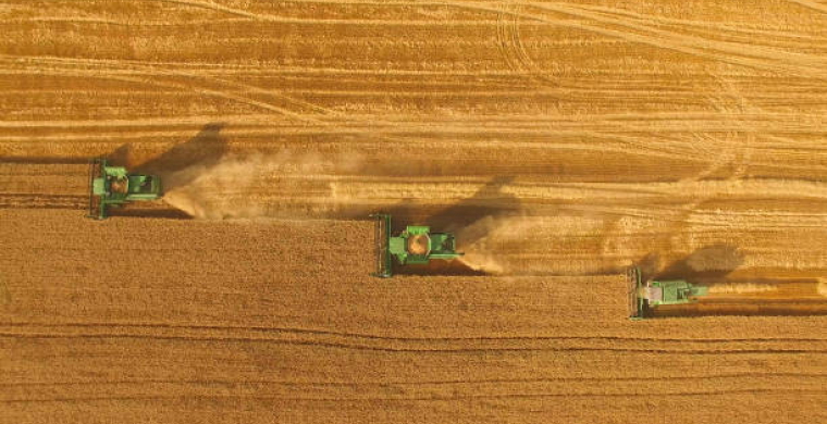 Governo Federal anuncia Plano Safra 2021/22 com foco em agricultura familiar e bioeconomia