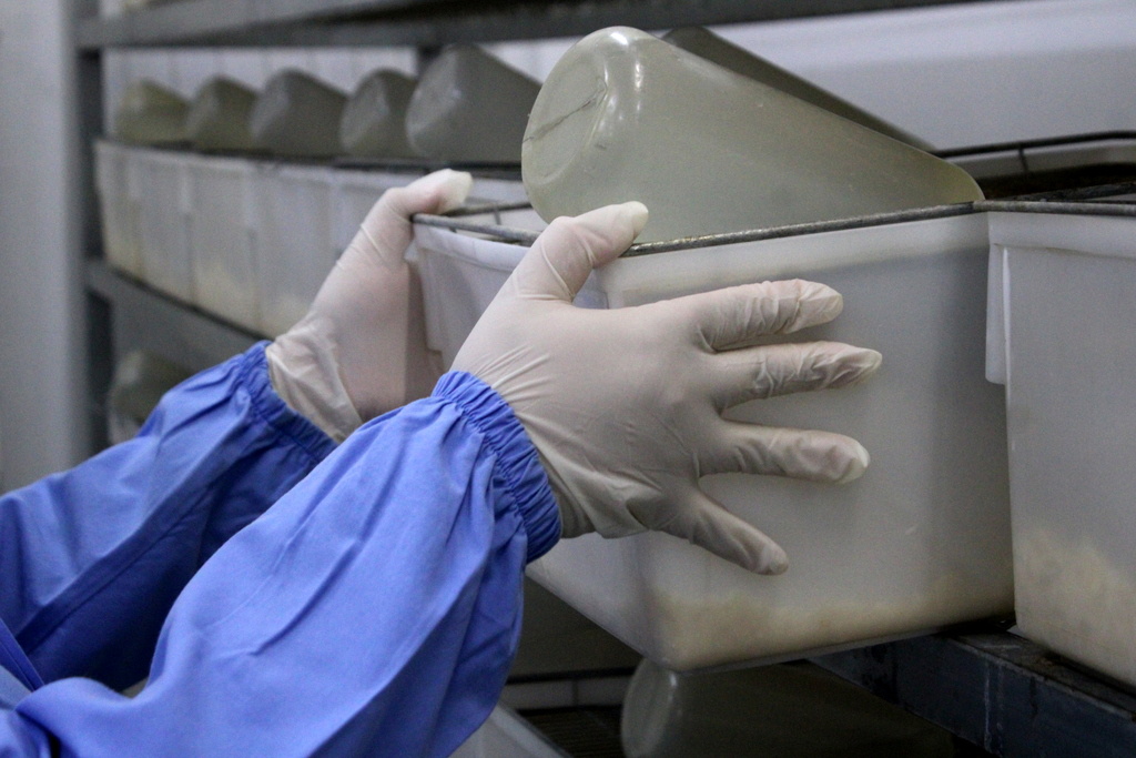 Centro de Experimentação Animal (CEA)