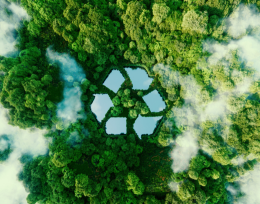 VALORA - Valorização de Resíduos como Estratégia para o Desenvolvimento da Economia Circular