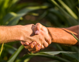 Grupo de Estudos e Pesquisas em Produção, Agronegócio e Desenvolvimento - GEPPAD