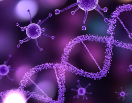 Grupo de Biomateriais e Materiais Nanoestruturados