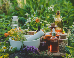 GEPPLAM - Grupo de Extensão e Pesquisa em Plantas Medicinais