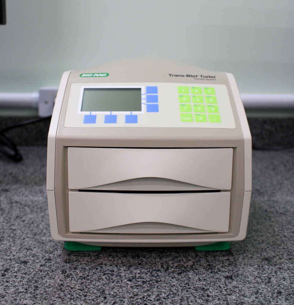 Trans-Blot